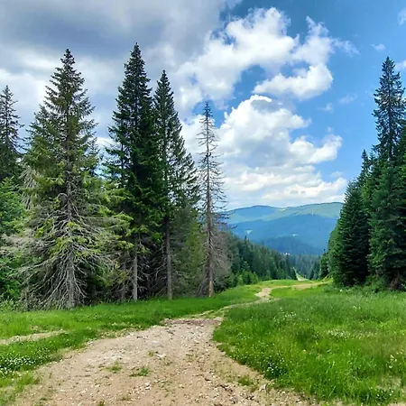 Bogi Apartment Pamporovo