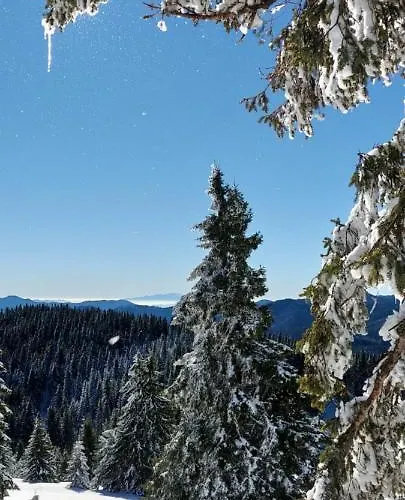 Bogi Apartment Pamporovo