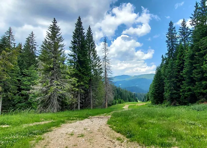 Bogi Apartment Pamporovo